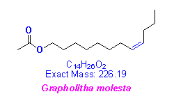 8Z-12Ac；(Z)-8-Dodecen-1-ol acetate